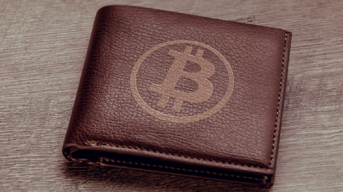 Best bitcoin wallet for usa